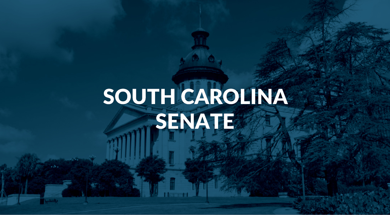 South Carolina Senate government
